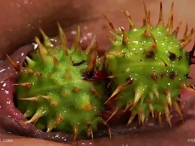 Het tonårssex på morgonen