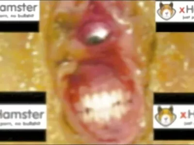 While The Cocks Away The Pussy Will Play video (Alice Wonderbang)