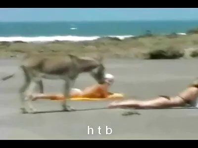 Söt tonåring onanerar